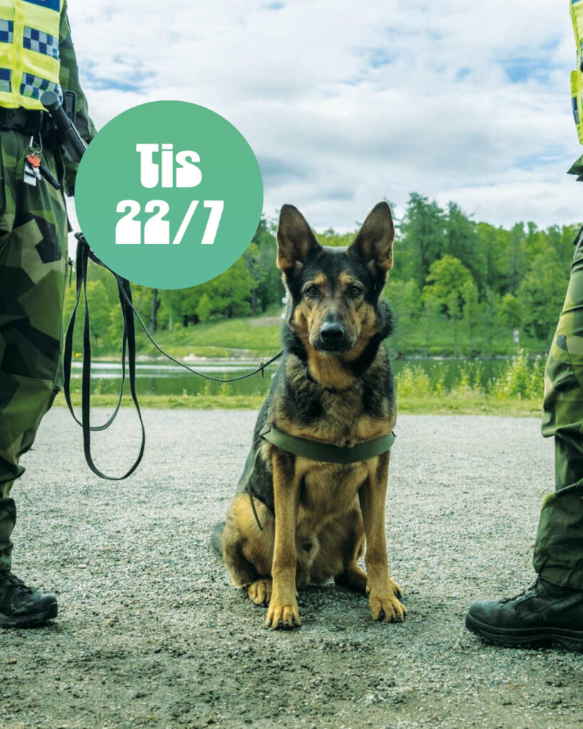 Trygghetens dag 22/7